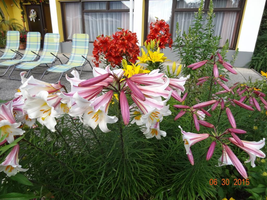 Pension Broenimann ออสซิอัค ภายนอก รูปภาพ